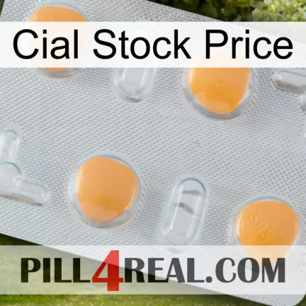 Cial Stock Price 24